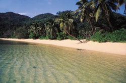 Chalet d'anse Forbans Beach